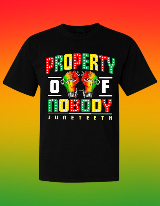 Property of Nobody